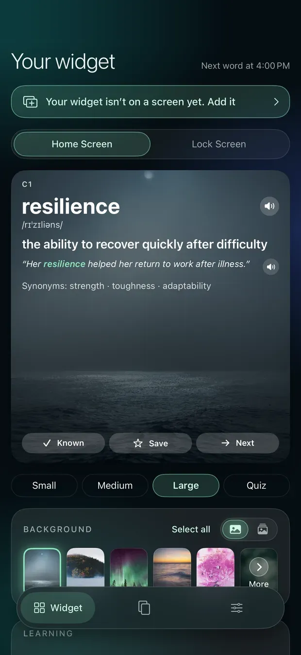 The large Home Screen widget preview: level C1, resilience with its pronunciation, meaning, example sentence with a speaker button, synonyms, and Known, Save and Next buttons